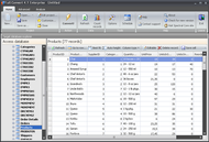 Full Convert MySQL Edition screenshot